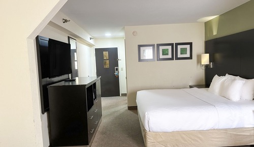 Room, 1 King Bed