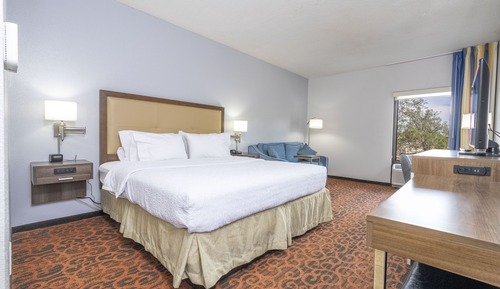 Room, 1 King Bed, Non Smoking