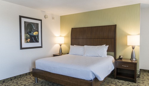 Room, 1 King Bed, Accessible