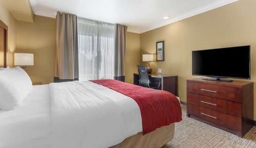 Room, 1 King Bed, Non Smoking