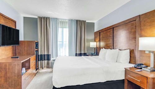 Standard Room, 1 King Bed, Non Smoking