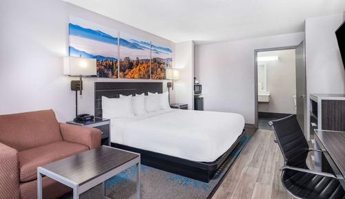 Room, 1 King Bed, Accessible, Non Smoking