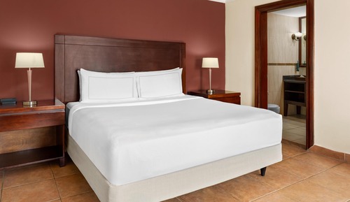 Executive Room, Business Lounge Access