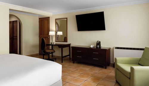 Room, 1 King Bed