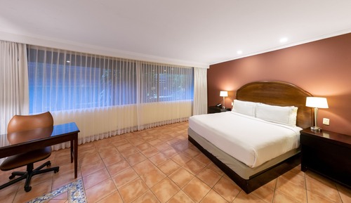 Executive Room with Balcony, Business Lounge Access