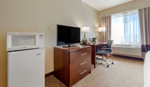 Room, 1 King Bed, Accessible, Non Smoking