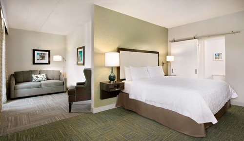 Suite, 1 King Bed, Non Smoking (Mini Suite)