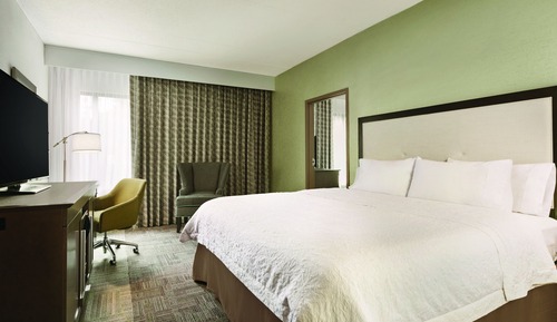 Family Room, 1 King Bed