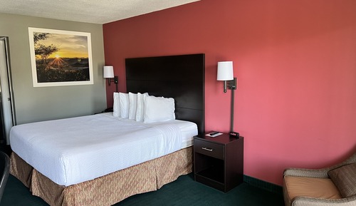 Room, 1 King Bed, Non Smoking (Pet-Friendly)
