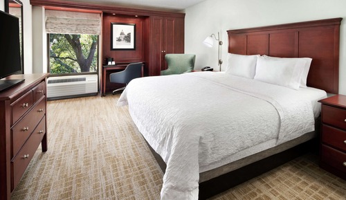 Room, 1 King Bed