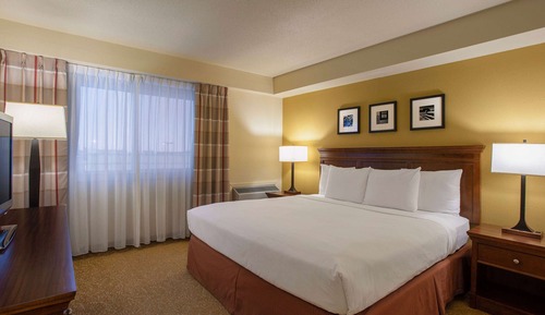 Room, 1 King Bed, Non Smoking
