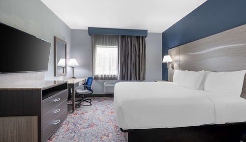 Suite, 1 King Bed, Non Smoking, Refrigerator & Microwave (with Sofabed)