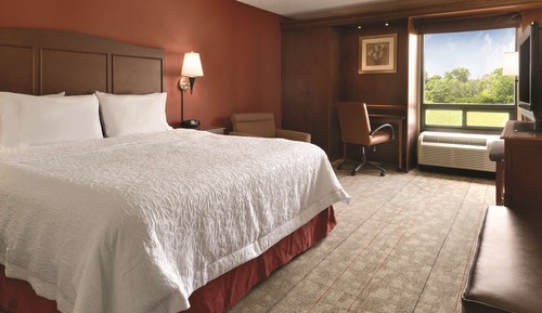 Room, 1 King Bed, Accessible, Non Smoking