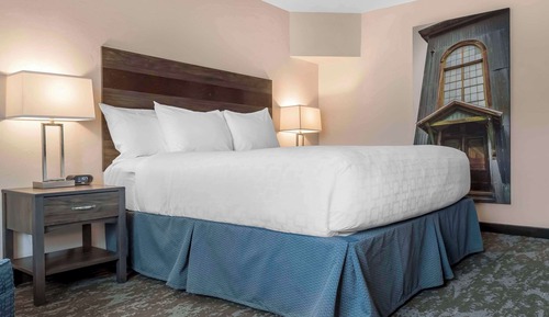 Standard Room, 1 King Bed, Non Smoking (Not Pet Friendly)