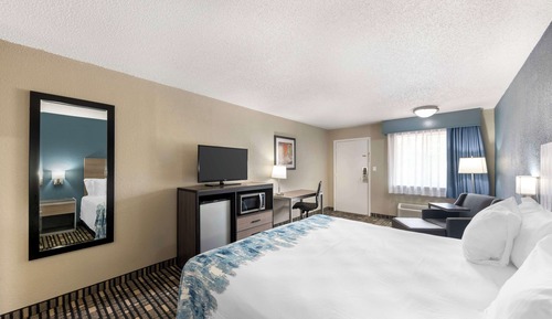 Standard Room, 1 King Bed, Non Smoking, Refrigerator & Microwave (Shower Only;Pet Friendly)