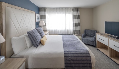 Suite, 1 King Bed with Sofa bed, Refrigerator & Microwave, Bay View