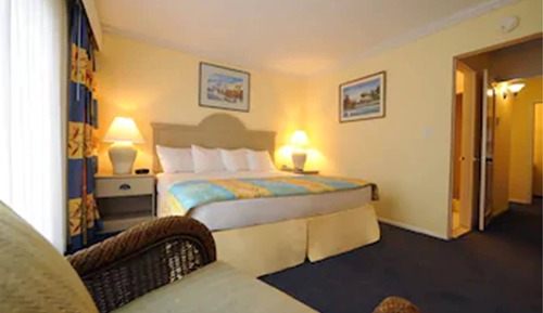 Suite, 1 Bedroom (1 king bed)