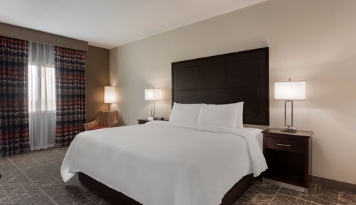 Room, 1 King Bed with Sofa bed