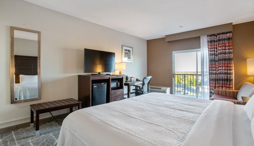 Room, 1 King Bed