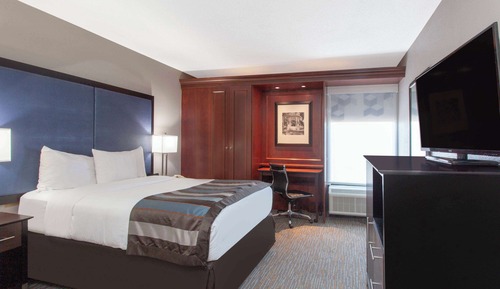 Room, 1 Double Bed, Accessible Shower, Non Smoking