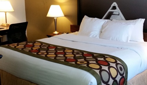 Room, 1 King Bed, Non Smoking