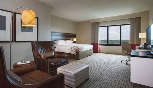 Room, 1 King Bed, Non Smoking