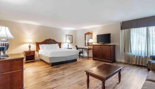 Business Suite, 1 King Bed, Non Smoking, Jetted Tub (1st Floor;with Sofabed)