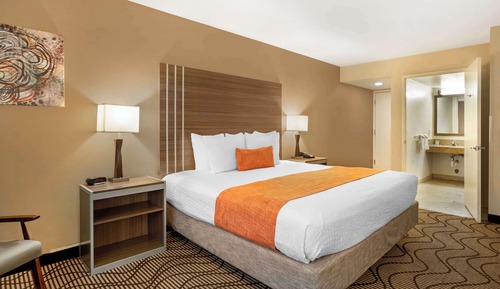Standard Room, 1 King Bed, Non Smoking, Refrigerator & Microwave (Walk-in Shower)