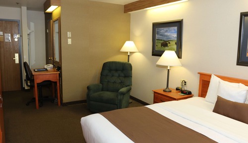 Standard Room, 1 King Bed, Non Smoking, Refrigerator & Microwave