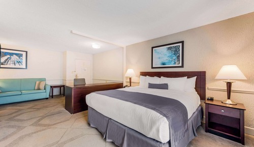 Suite, 1 King Bed with Sofa bed, Non Smoking