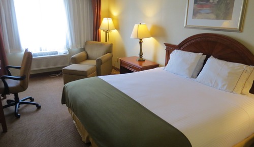 Room, 1 King Bed, Non Smoking