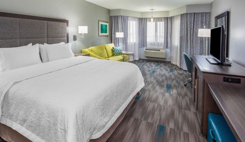 Room, 1 King Bed with Sofa bed, Non Smoking, Refrigerator