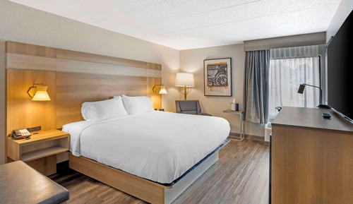 Standard Room, 1 King Bed, Accessible, Refrigerator & Microwave