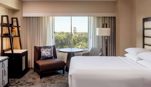 Room, 1 King Bed, Park View