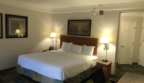 Deluxe Room, 1 King Bed, Non Smoking