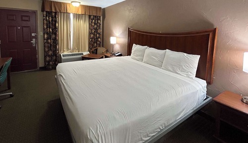 Standard Room, 1 King Bed, Non Smoking, Refrigerator & Microwave