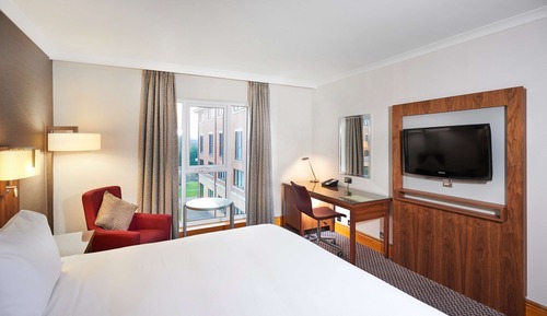 Suite, 1 King Bed