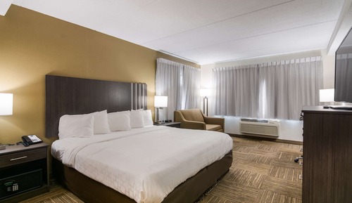 Standard Room, 1 Queen Bed, Non Smoking (No Pets)