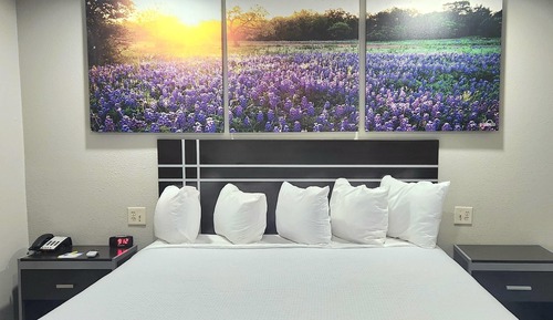 Room, 1 King Bed, Accessible, Smoking