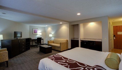 Deluxe Room, 1 King Bed, Non Smoking