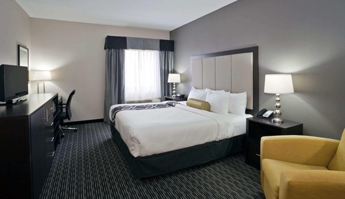 Room, 1 King Bed, Non Smoking