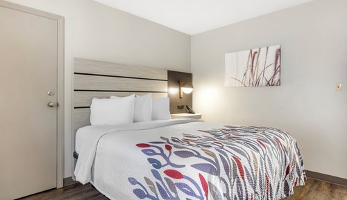 Deluxe Room, 1 King Bed, Accessible, Non Smoking (Roll-In Shower)