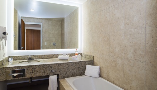 Suite, 1 King Bed (Bath and Walk-In Shower)