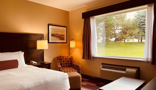 Standard Room, 1 King Bed, Non Smoking, Refrigerator & Microwave (with Sofabed)