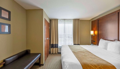Suite, 1 King Bed with Sofa bed, Non Smoking