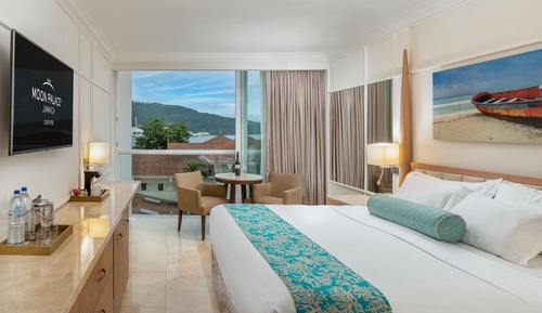 Deluxe Resort View