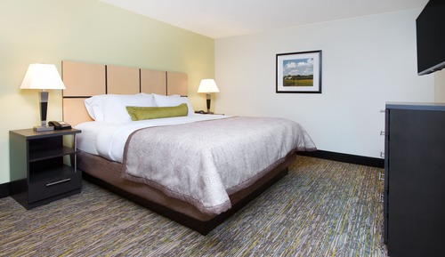 Suite, 1 Bedroom