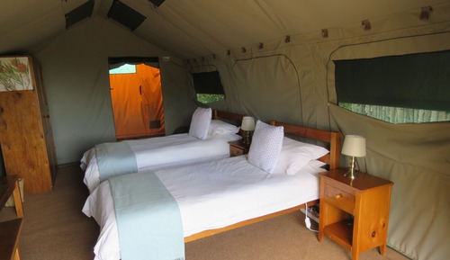 Family Tent
