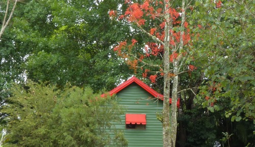 Family Cabin, Green