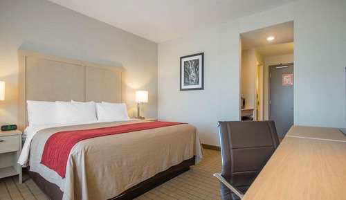Standard Room, 1 King Bed, Non Smoking (No Pets)